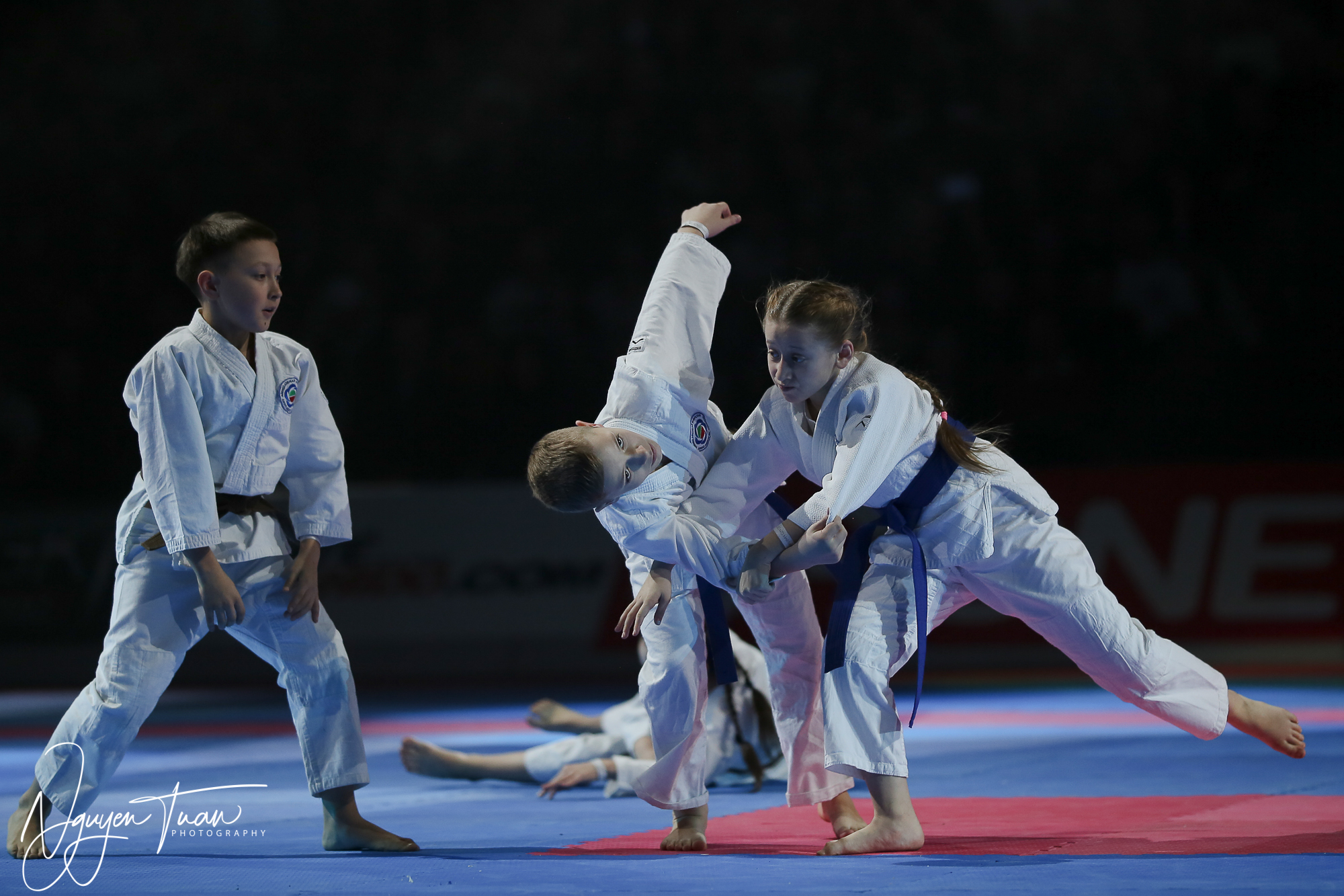 20190324 Festival des Arts Martiaux 3690